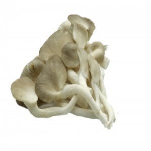 Baby-Oyster-Mushroom