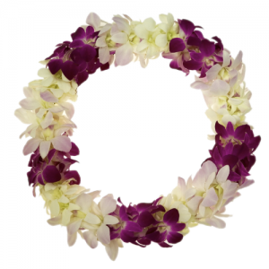 3 COLORED ORCHID LEIS