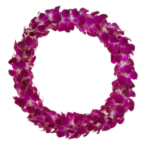 ORCHID LEIS