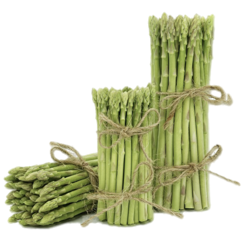 ASPARAGUS