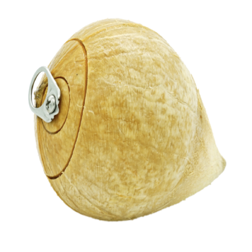 COCONUT WITH OPENER