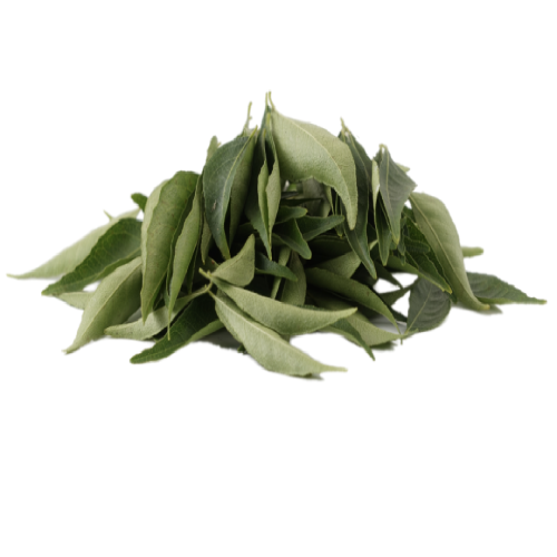 CURRY LEAVES FRESH