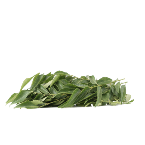 CURRY LEAVES FRESH