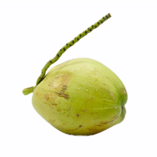 COCONUT GREEN SKIN