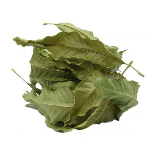 MANGO LEAF DRY
