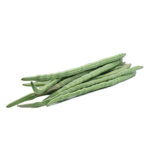 MORINGA DRUMSTICKS