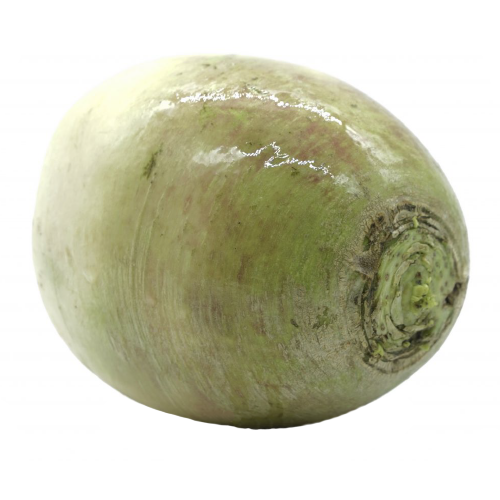 Watermelon Radish