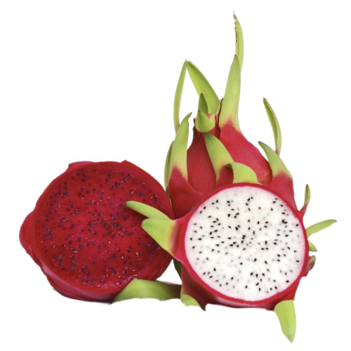 DRAGONFRUIT RED AND WHITE PITAYA RED AND WHITE