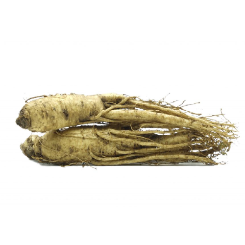 Ginseng