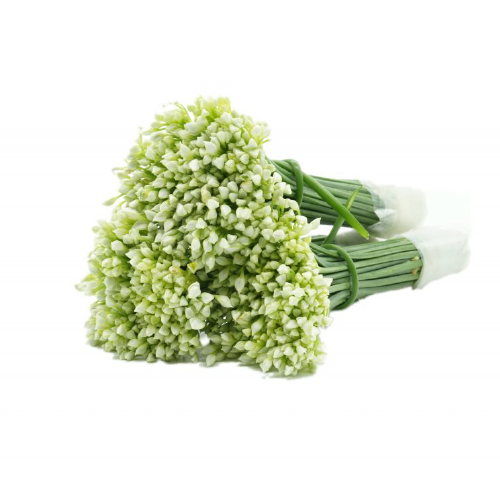 CHINESE CHIVE FLOWERS CHINESE CHIVE FLOWERS