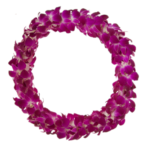 ORCHID LEIS ORCHID GARLANDS