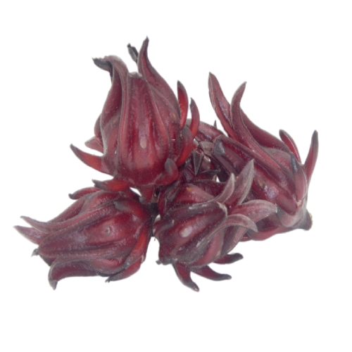 ROSELLE FLOWERS
