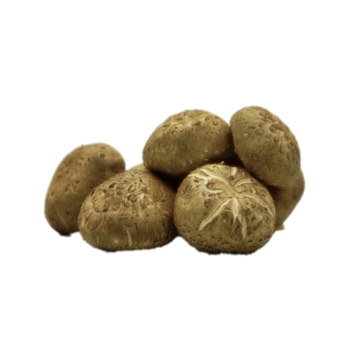 SHITAKE MUSHROOMS