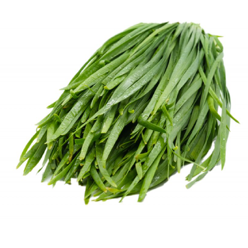 CHINESE CHIVE LEAVES