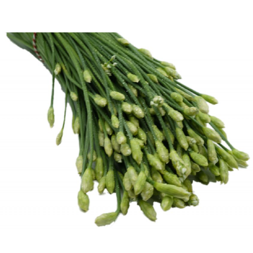 CHINES CHIVE FLOWERS