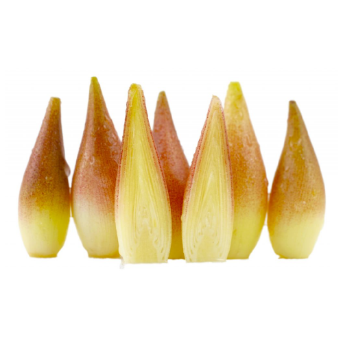 JAPANES GINGER FLOWERS