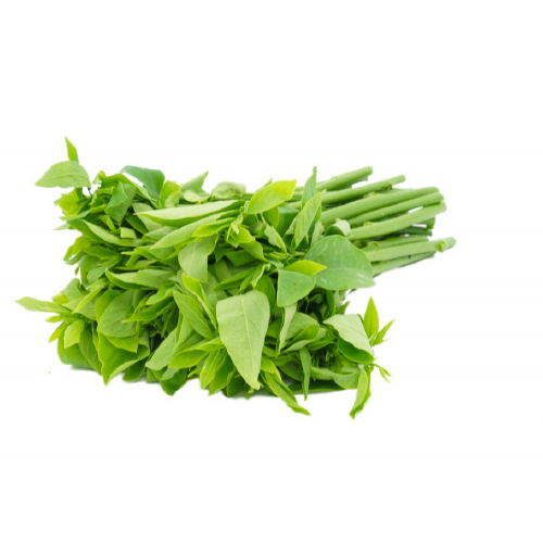 PEA SPROUT SHOOTS