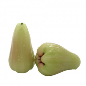 ROSE APPLE GREEN-RED