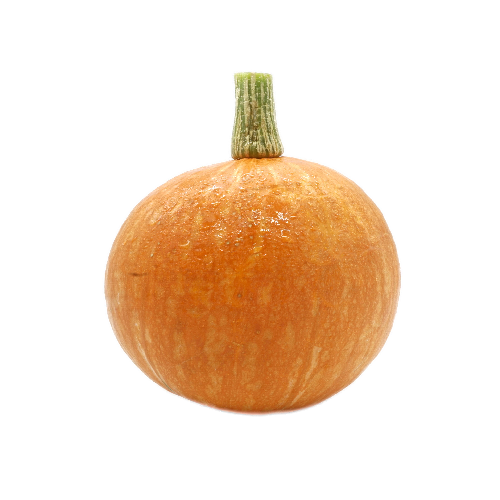 HOKKAIDO PUMPKIN
