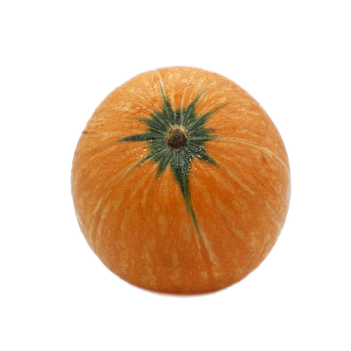 HOKKAIDO PUMPKIN