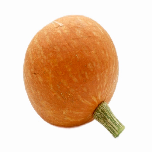 HOKKAIDO PUMPKIN HOKKAIDO PUMPKIN