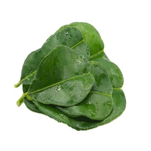 KAFFIR LIME LEAVES