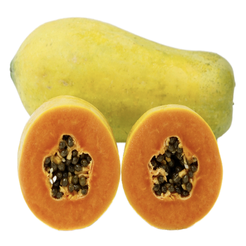 HOLLAND PAPAYA