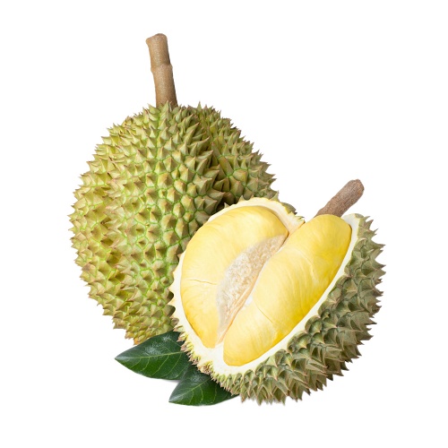 MONTHONG DURIAN FOR CHINA